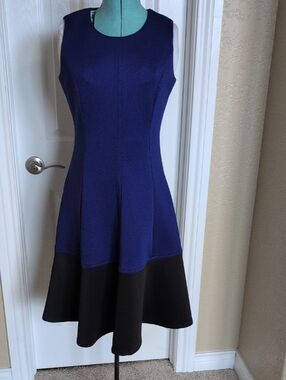 BOGO Calvin Klein Two Tone Dress